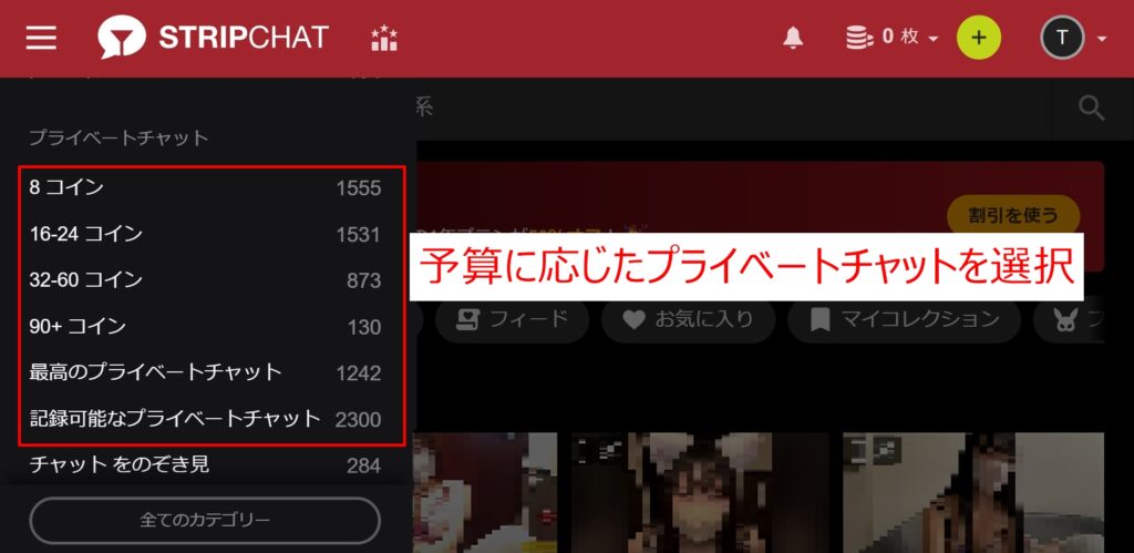 ストリップチャットのプライベートショーの選択